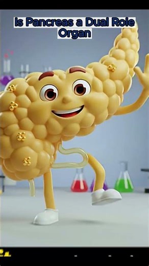 🌗 The Double Life of Your Pancreas: Why This Hidden Organ is the Master of Digestion and Blood Sugar