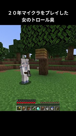 女の子のマイクラトロール集
