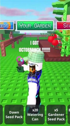 btw i got it in my first igma seed pack so it meansI GOT OCTOBRANCH IN 1 SEED PACK!!!#gardenhorizons