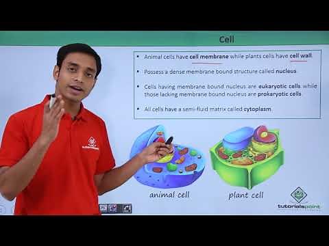 Class 11th - Cell – Overview | Cell: The unit of Life | Tutorials Point