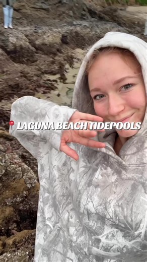 Exploring Tidepools at Laguna Beach: A Colorful Adventure