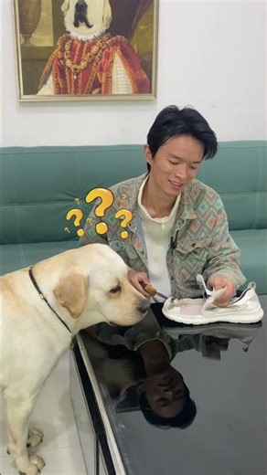 Why Do Dogs Look Like Humans? Owners Take Their Way, Leaving No Choice.