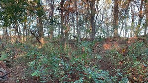 71 reactions | The armor convoy carefully moves through the woods of Old Bethpage Village Restoration and then comes under fire - a different morning for civilians embedded in a time machine | Museum of American Armor | Facebook