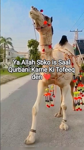 Beautiful Camel #trending #viral