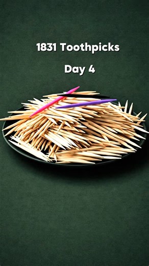 The New Project Toothpicks on Instagram: "Day 4 🪵 1831 followers = 1831 toothpicks! The plate is full — which one should be next? Can we reach 10,000 for day 5? 🎯 See you tomorrow! #toothpick #3d #daily"