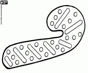 Christmas cookie as candy cane coloring page printable game