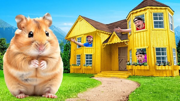Building the World’s Most Expensive Hamster House