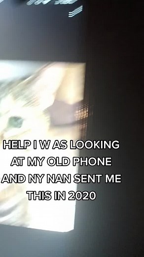 Crying Cat Meme: A Lighthearted Look at Lockdown Life