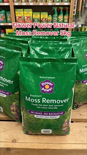 POV: If you’ve been eyeing this, TikTok’s price right now is definitely a win for your wallet.😍😍😍