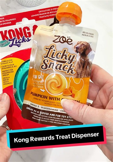 Engaging Kong Rewards Treat Dispenser for Active Dogs