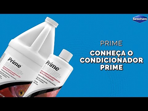 Prime da Seachem: conheça o MELHOR CONDICIONADOR para o seu aquário