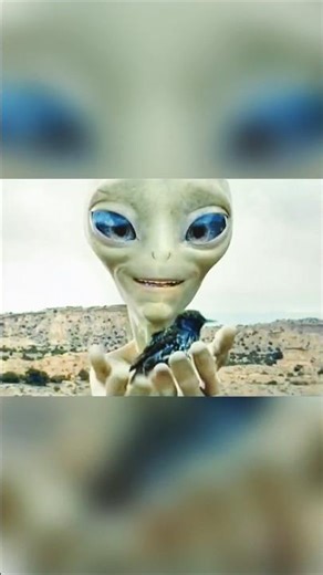 Alien Revives a Dead Bird… Then Does the SHOCKING Unexpected! 😱👽 #alien