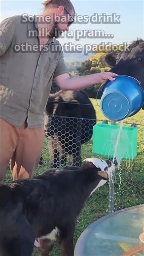 Springtime = babies everywhere!