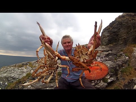 Catch, Dispatch, and Cook Cornish King Crab - AKA Spider Crab - Shore Crab Fishing