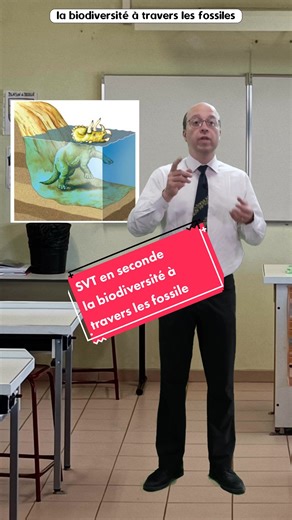 SVT en seconde : la biodiversité à travers les fossiles #reynoard #SVT #seconde #biodiversite #lycee
