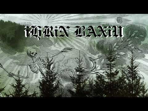 Studying Neuroscience (Executive Functions, pt. 2)