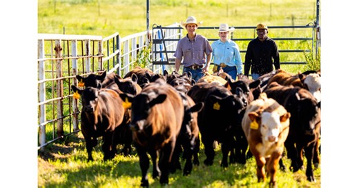 College of Agricultural Sciences & Natural Resources