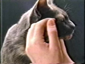 321-Contact-s5w01-Signals