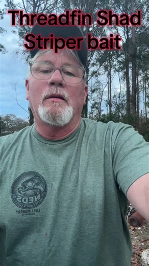 Striper Fishing Techniques with Threadfin Shad