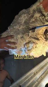 SARANGNYA LUMAYAN SUPER JUMBO SEMOGA ISINYA BANYAK