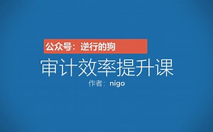 25-审计效率提升课-utools