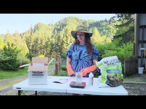 Rabbit Hide Tanning Part 4: The Pickle Solution