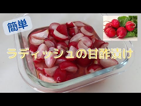 【ラディッシュの甘酢漬け】簡単にできるラディッシュの甘酢漬け・二十日大根