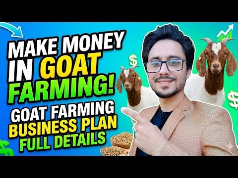 how to make money in goat farming | goat farming business plan full details