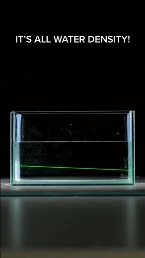Water density experiment / Amazing experiments / Homw experiments #experiment #science