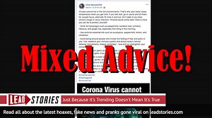 Fact Check: 15 Minutes In Sauna Will NOT Kill The Coronavirus  | Lead Stories