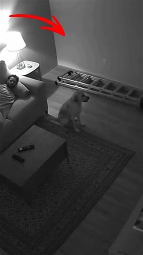 CCTV Captures Invisible Force Lifting a Ladder in Living Room | Real Scary Footage
