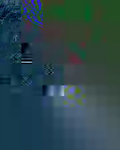 6.9K views · 349 reactions | We're a team with one mission, save the animals. Which is why our rescue teams are the 911 call for any injured, ill, and orphaned animals in need of help. | SeaWorld | Facebook