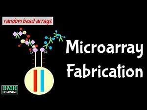 Fabrication Of DNA Microarray | How Microarrays Are Fabricated | Illumina Bead Array |