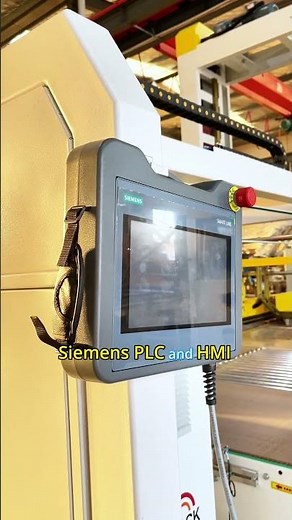 High Speed Low Level Palletizing System for Bags and Cartons | Automatic Palletizer Line