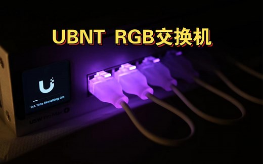 UBNT UniFi Pro Max 24 RGB交换机