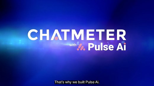 Pulse Ai Overview
