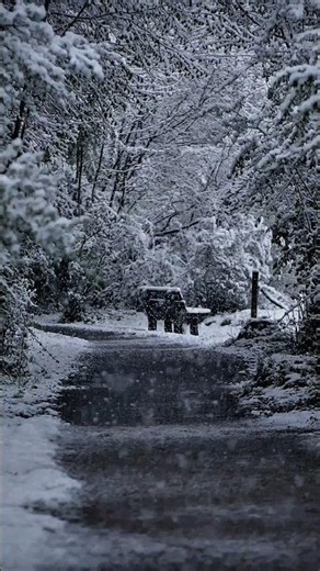 Silent Snow / Dramatic Melancholy Piano and Orchestra Music By BDKSonic