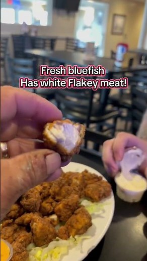Hook to Cook a Bluefish, it’s awesome! #bluefishing #bestfish #makeithappen #fillet #bluefishfillet