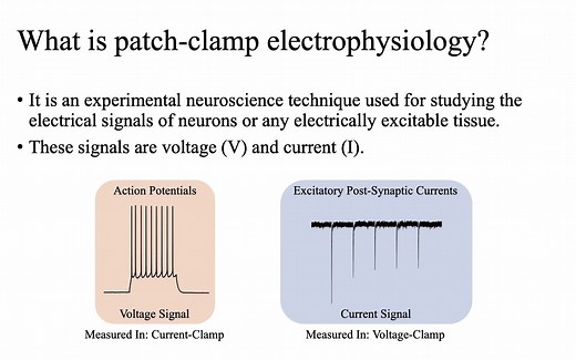 膜片钳技术 | The Patch Clamp