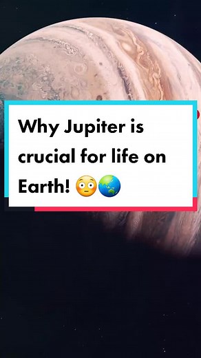 The Importance of Jupiter for Earth's Existence
