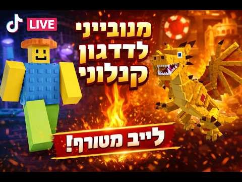 לייב מנוביני לדרקון