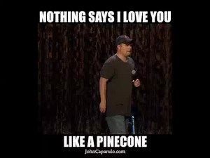 JohnCaparulo.com #johncaparulo #comedyshow #standupcomedy #standup #standupcomedian #meetcap #pinecone