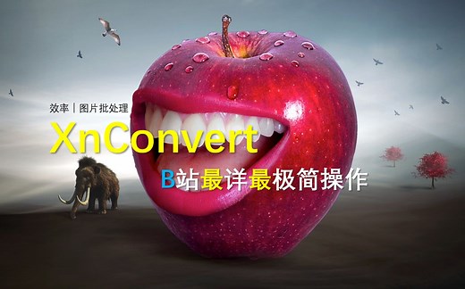 效率│图片批处理XnConvert│B站最详最极简操作