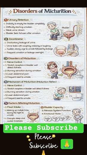 Micturation Process#biology #sciencefacts