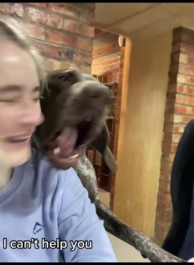 Charlie's Patience Journey: GSP Puppy Learning Patience