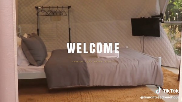 Explore the Eco-Friendly Lemon Tree Dome House