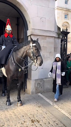 When Language Fails Tourists Ignoring 'Stay Behind the Lines' at Horse Guard Parade! 🚫🇬🇧 #RegalExperience #Tiktok #TikTock #HorseGuardParade #TouristFun #MagicalMoments #ForYou | Roger Daniels