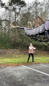 25K views · 776 reactions | Dreams ✨DO✨ come true! | AllEars.Net | Facebook