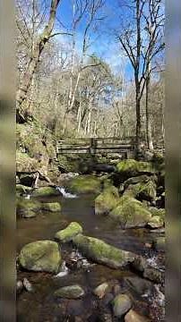 walkung the Padley Gorge #padleygorge #exploring #adventure #walking #rambling