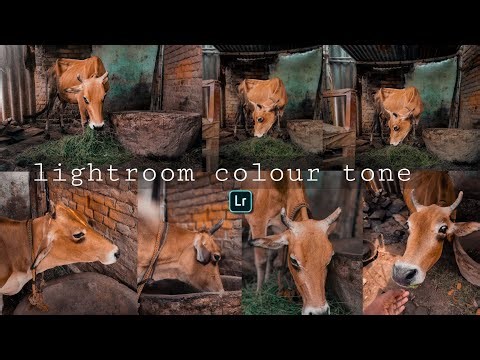 Lightroom colour tone photo editing cinematic - colour tone 